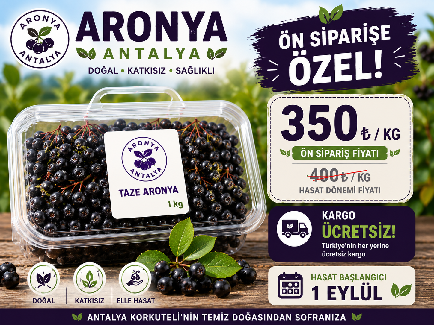 Taze Aronya Meyvesi (5 Kg)
